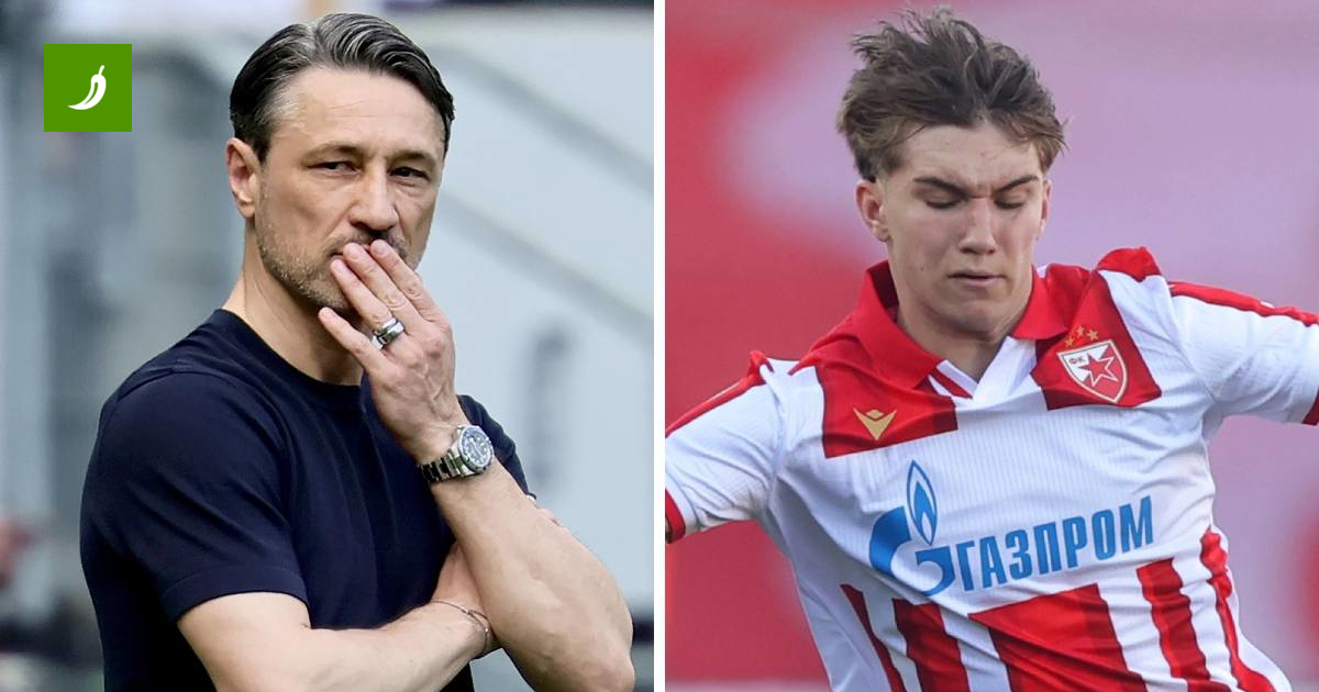 Dortmund Ofertă Suma Recordină de 25 Milioane Euro pentru Talentul de 18 ani al Red Star