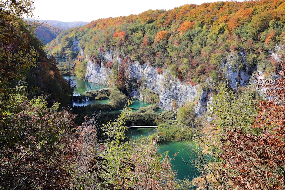 Biogradska Gora National Park forest trail Lake Skadar view