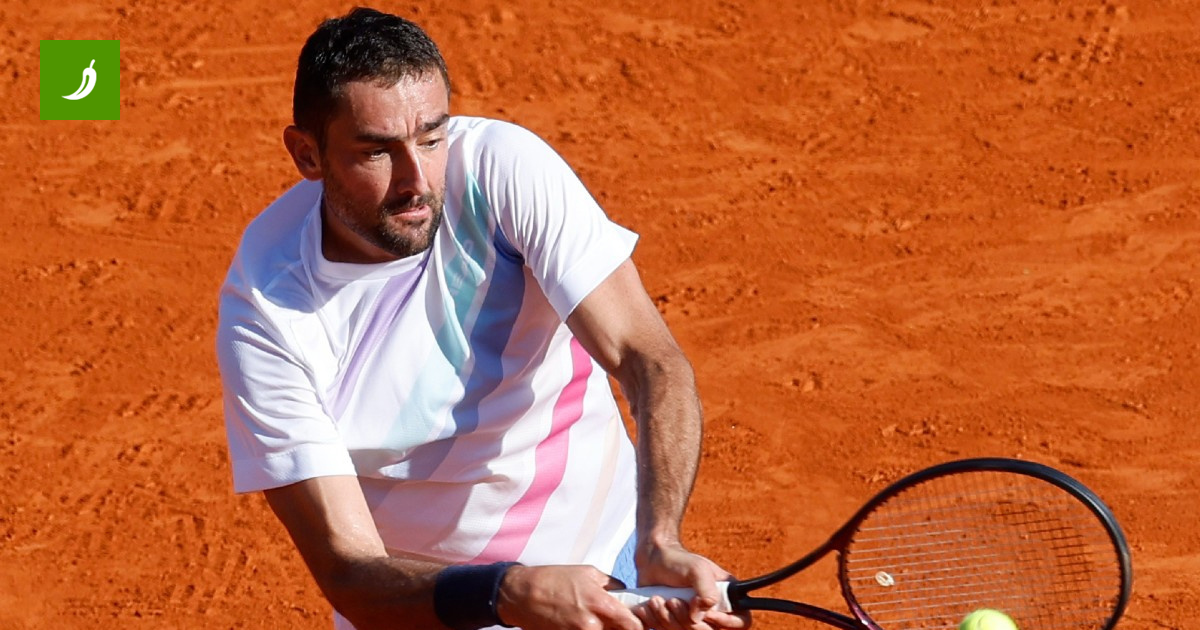 Tennisistii croați au primit adversarii lor la Roland Garros