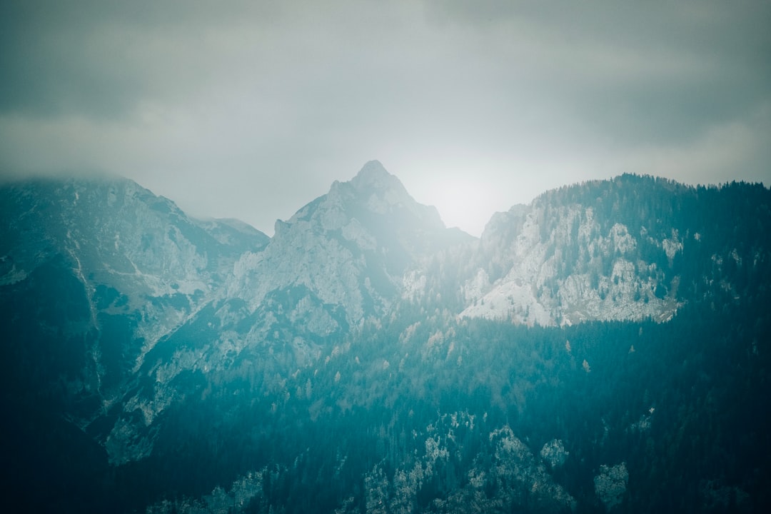Păduri Anciene și Vârfuri: Explorarea Parcului Național Triglav din Slovenia