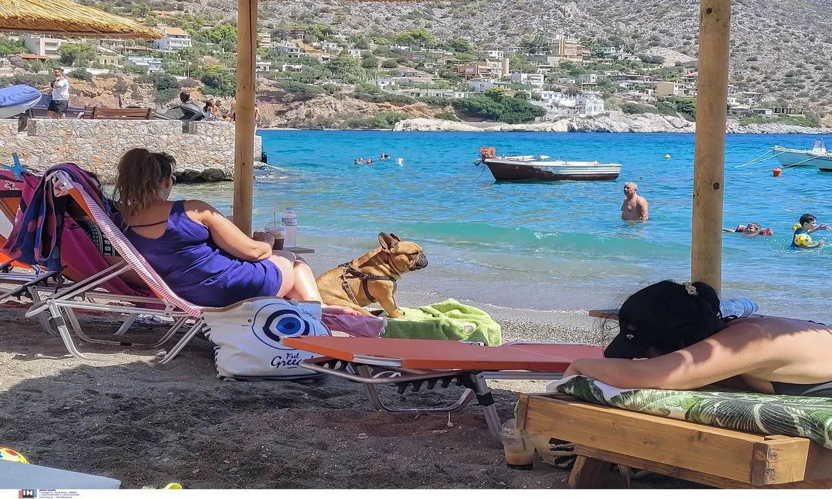Corectarea cererilor de turism social: cum să le corectați pentru a nu fi respinse din cauza erorilor