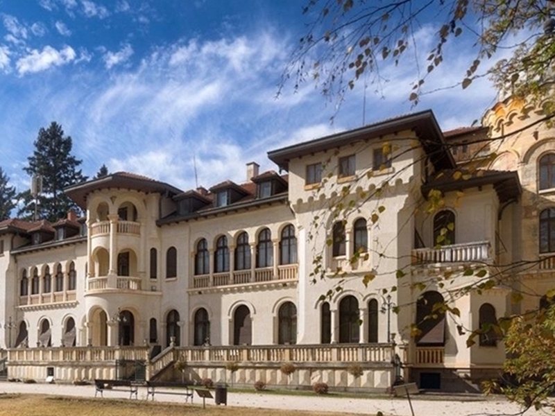 "Vrana" în coroană: Istoria necontată a palatului regal