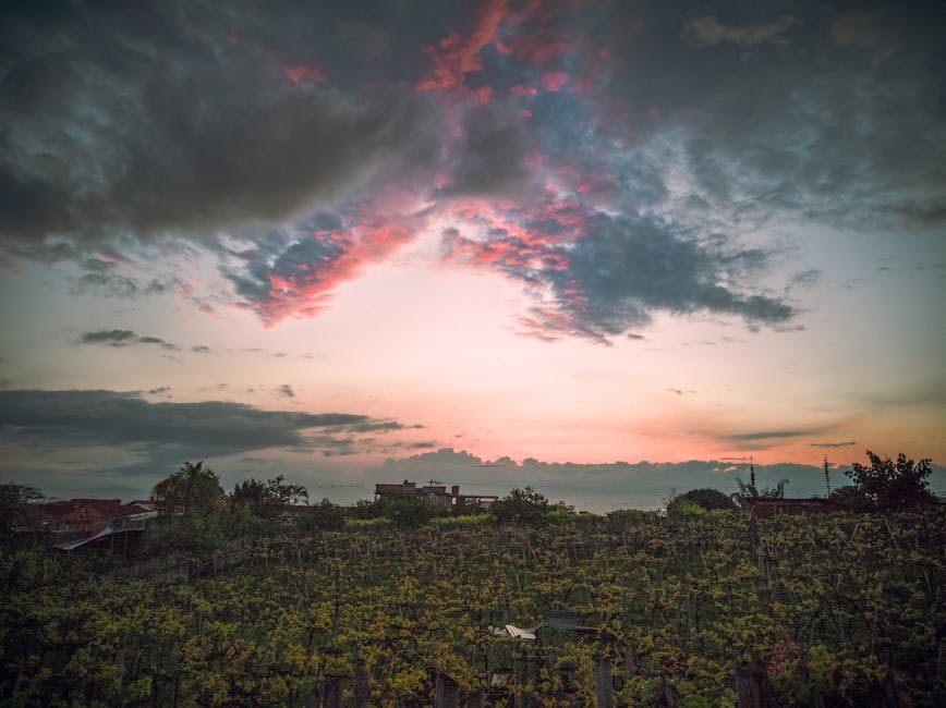 Ruta Vinicolă Pelješac: O călătorie prin vin în exclavele croate