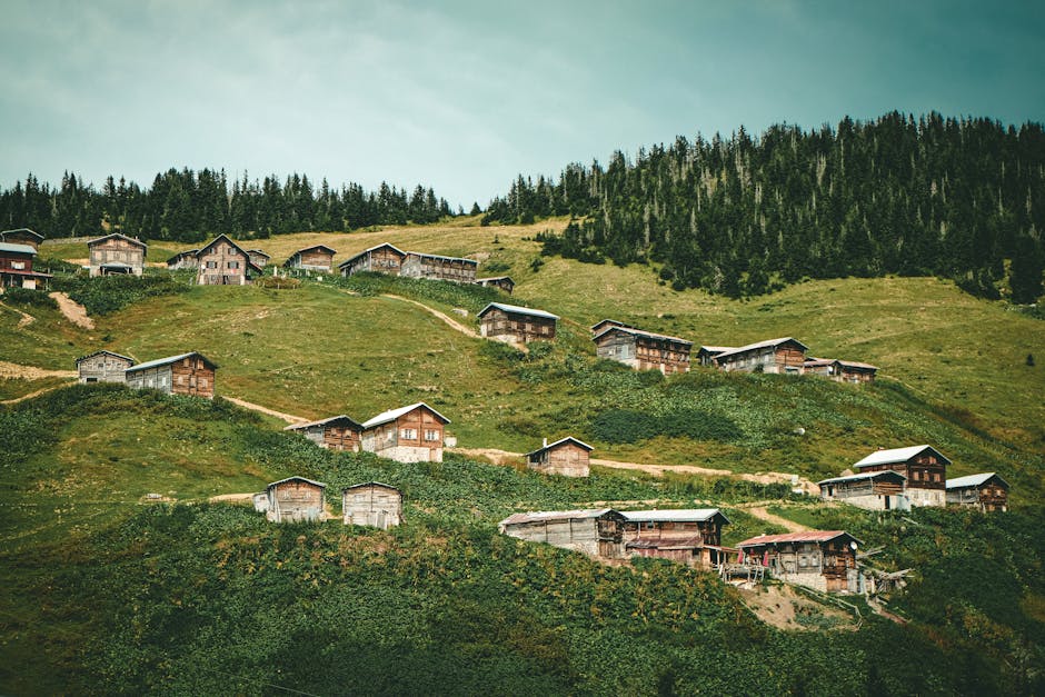 De la Trabzon la Rize: Pe urme ploii și a păstrăvului roșu pe coasta Mării Negre din Turcia