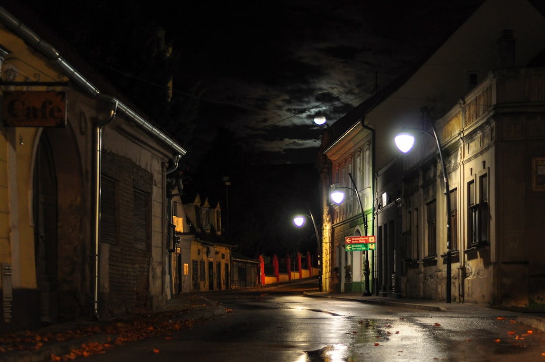 Rijeka Crnojevića street night quiet