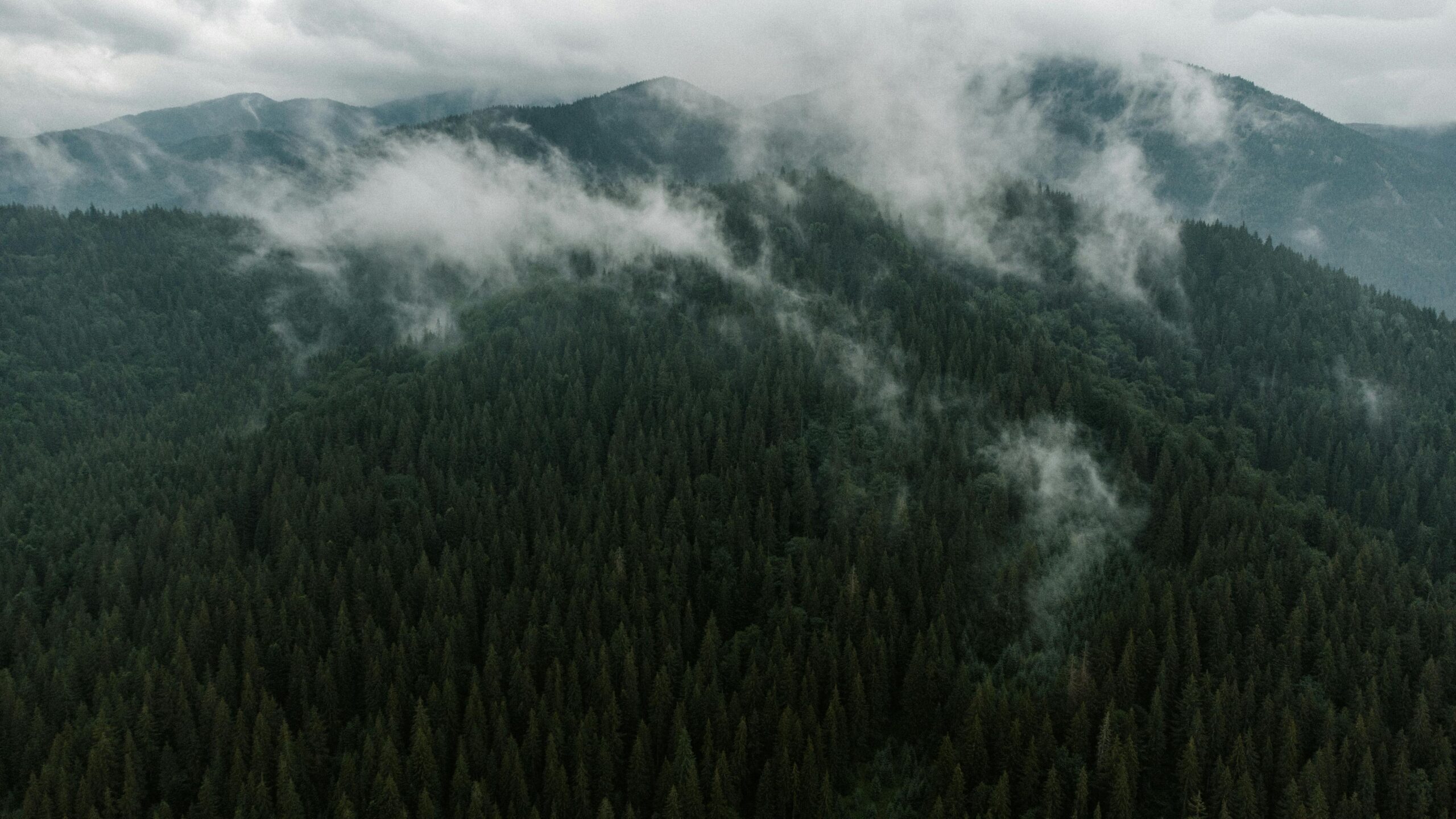 Štirovača: Valea Pădurii Uitate din Velebit
