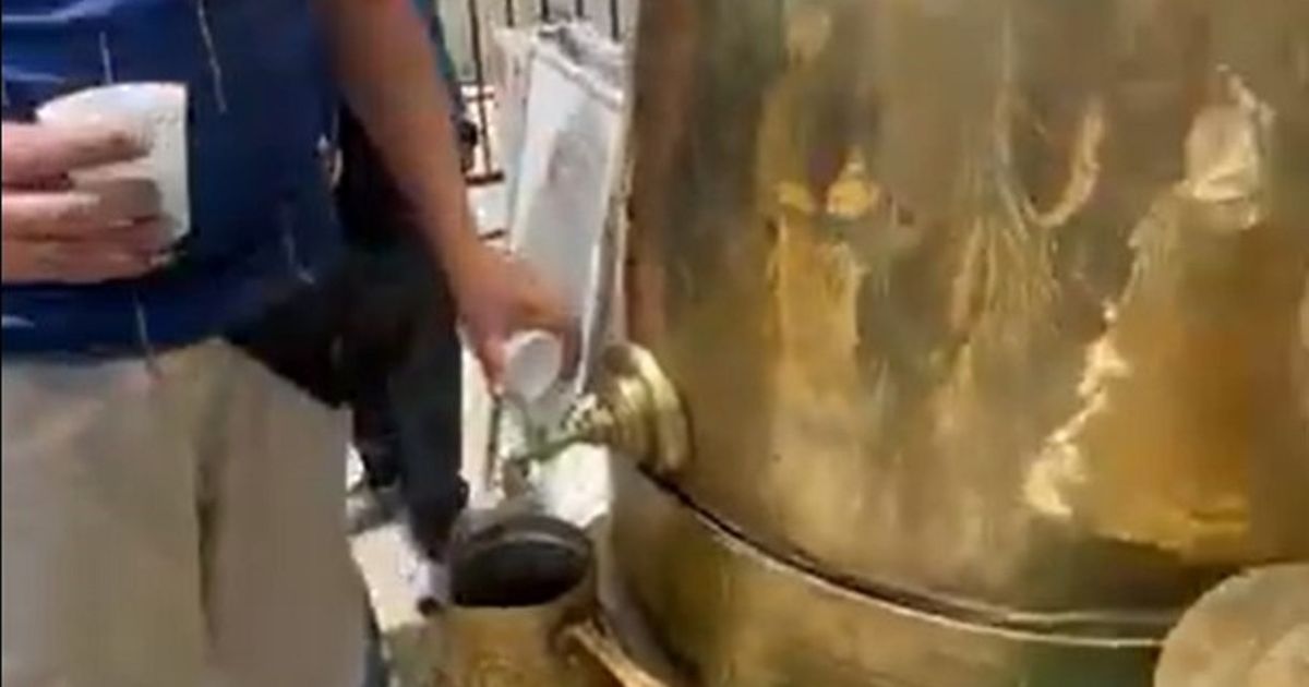 Ceava Gigantă: Cafeaua Bosniană Cucer SUA
