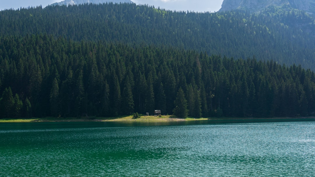 Parcul Național Durmitor: Cursă cu caiacul pe Lacul Negru și Drumeție spre Bobotov Kuk