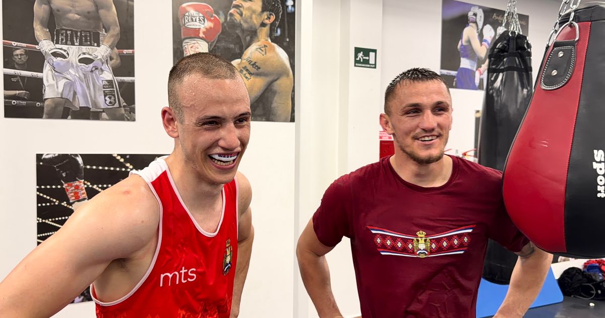 Spectacol de box în Serbia: Memić și Nikolić se pregătesc pentru un nou război