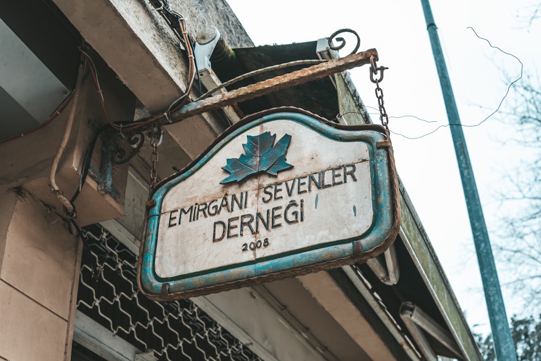 Musavat Dervişoğlu stârne furie în Turcia cu apelul pentru miting la Taksim