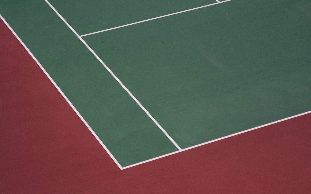 Efort și Glorie: Cum au Cucerit Stelele de Tenis Balcanice Lumea de pe Curi de Beton