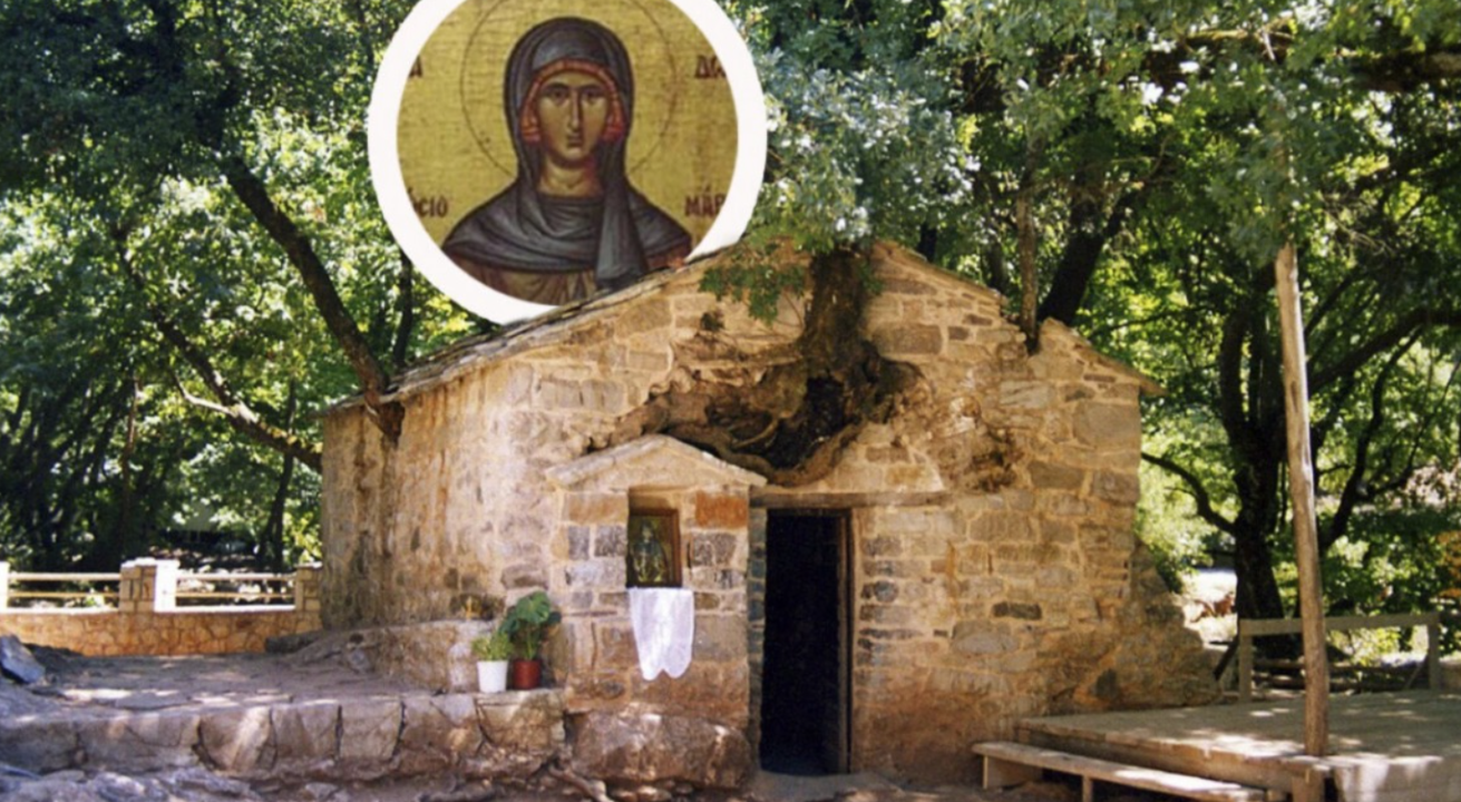 Miracol în Grecia: 17 de copaci cresc direct din acoperișul unei biserici din secolul al XII-lea
