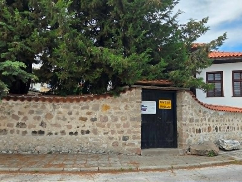 Lady Emily Strangford: Nobila britanică care a construit spitale în Bulgaria