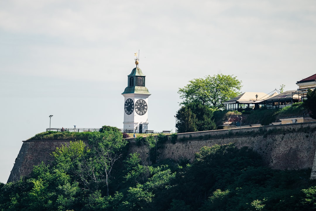 Novi Sad și Festivalul Exit: Unde Cultura Întâlnește Dunărea