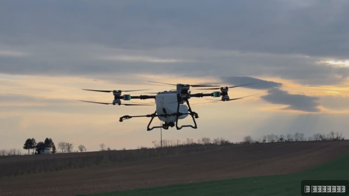 Dronele plantează noi păduri în Serbia
