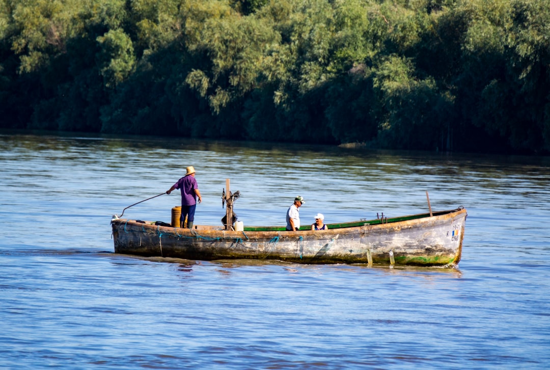 Gâște și Nave Fantomă în Delta Dunării Românești