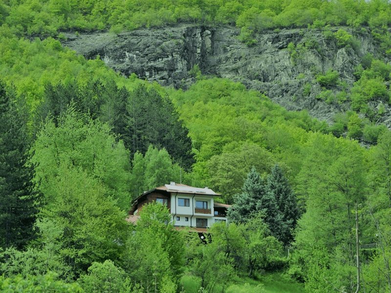 Oameni de Afaceri, Fosta Politicieni, Cazatori - 22 Proprietari Controlăză Terenurile de Cazare Astăzi (Infografic)
