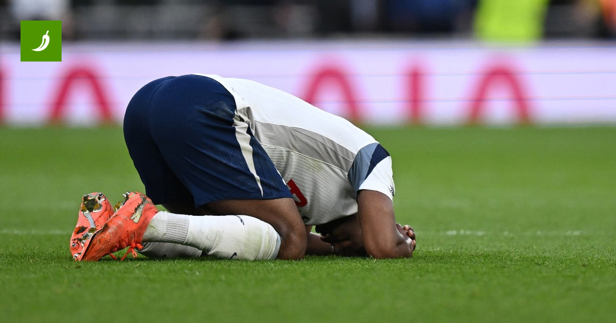 Gazonul retractabil al Tottenham-ului: Minune sau capcană?