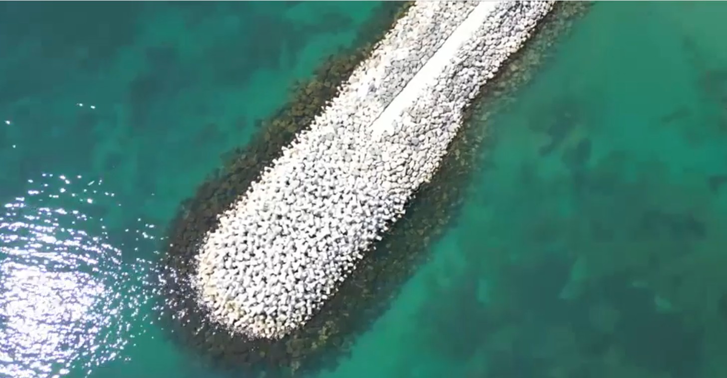 Marea Neagră în nuanțe caraiibice: Explicația algelor