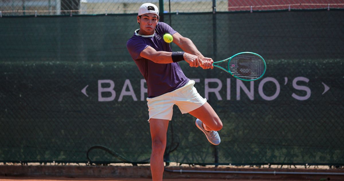 De la Partener de Antrenament al lui Djokovic la Campion al Roland Garros