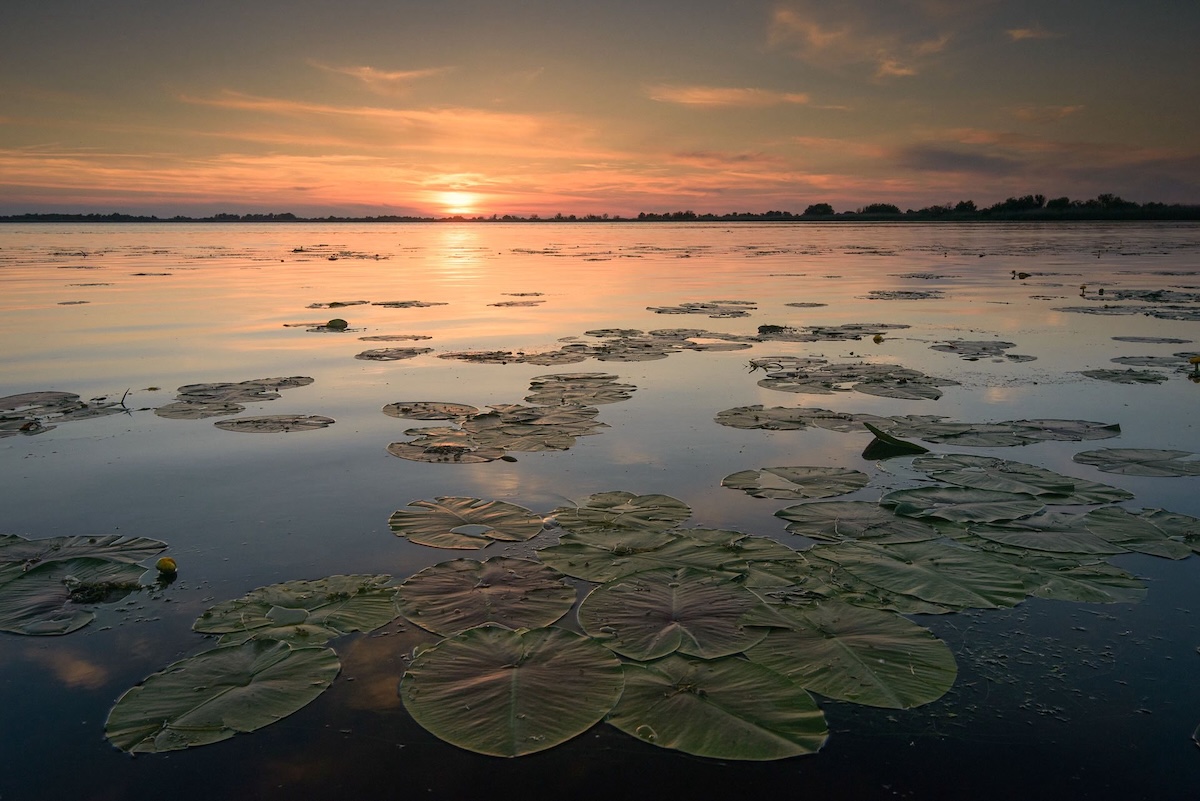 Documentarul românesc "Wild Delta" premieră la festivalul LYNX în Brașov