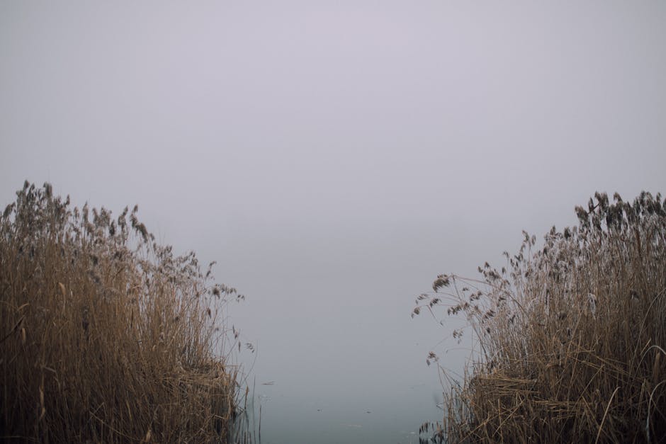 Ortigia Island Danube Delta reed beds blue lake morning mist
