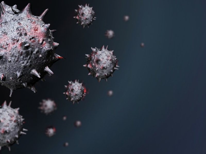 Niciun Bălgar Pe Croazierul Afectat de Izbrăcirea cu Hantavirus
