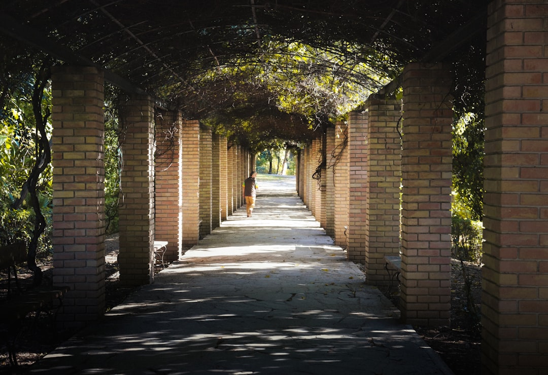 National Garden Athens tree-lined paths fountain sunlight