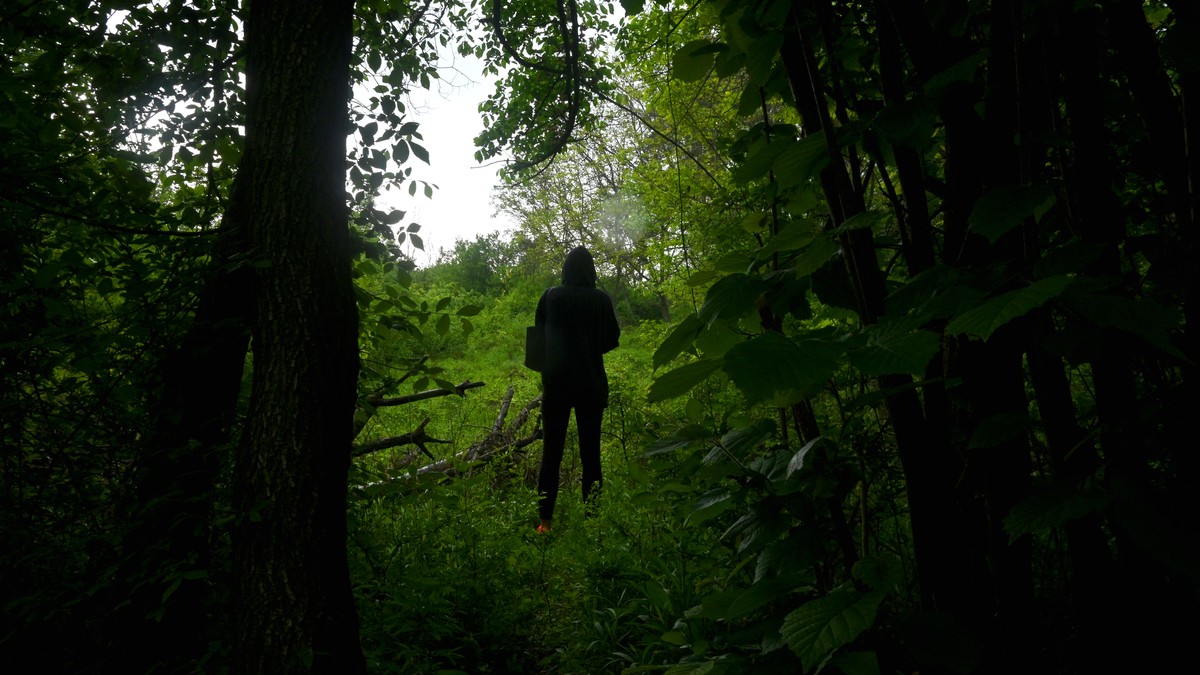 Descoperirea Unui Floră Rare în Zaječar: O Descoperire Şocantă
