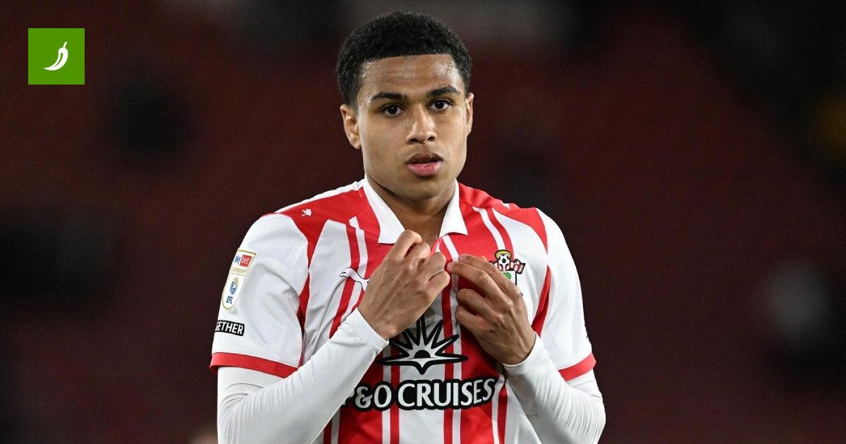 Southampton Rejected from Premier League Final