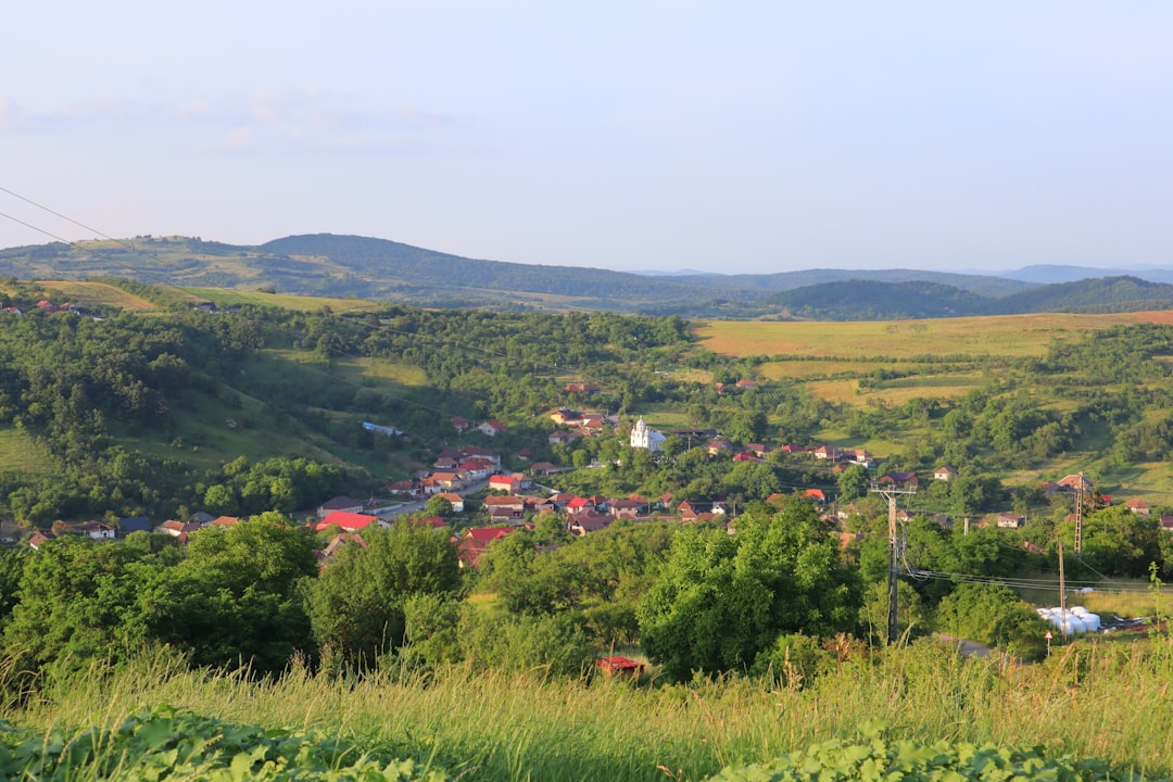 Prețurile combustibililor scad în întreaga regiune balcanică pe măsură ce cererea pentru călătoriile de vară atinge apogeul
