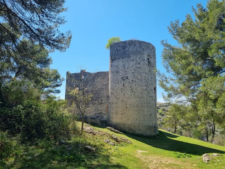 Copii descoperă tunul lui Da Vinci într-o cetate croată